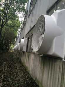 供應(yīng)揚(yáng)州車間降溫設(shè)備 泰州機(jī)械廠通風(fēng)換氣設(shè)備 廠房排煙設(shè)備